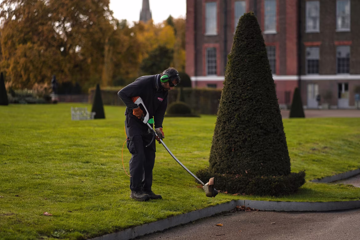 Commercial landscaping property