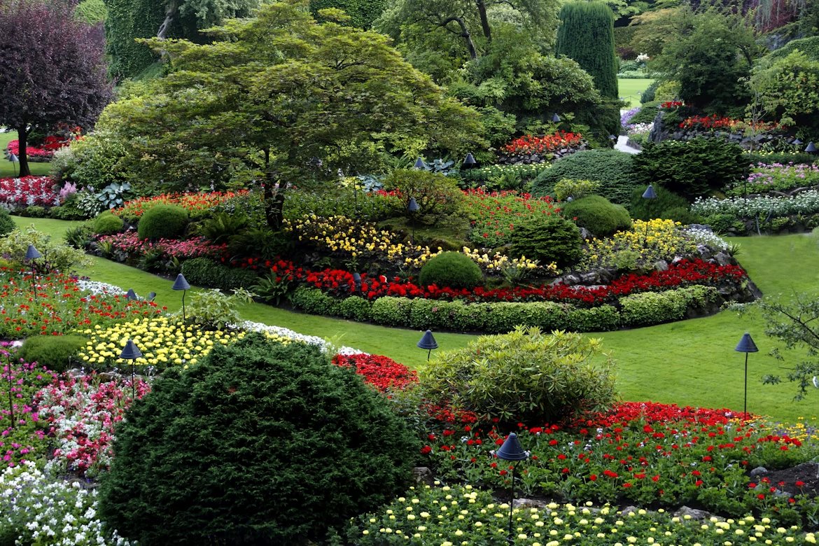 A landscaped garden