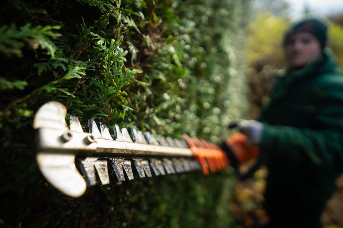 Mid-project