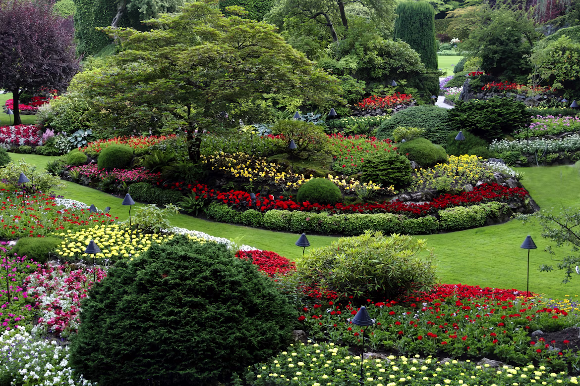 A beautifully landscaped garden