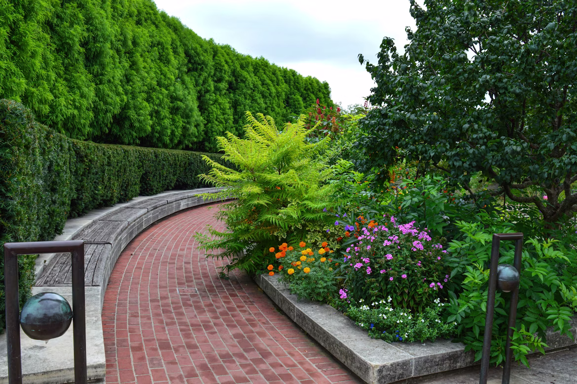 Neatly shaped shrubbery
